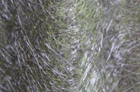 Spurstow fibreglass roof work